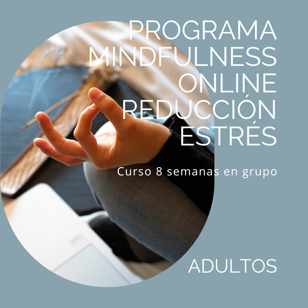Programa 8 semanas Mindfulness ONLINE Programa curso 8 semanas online Mindfulness